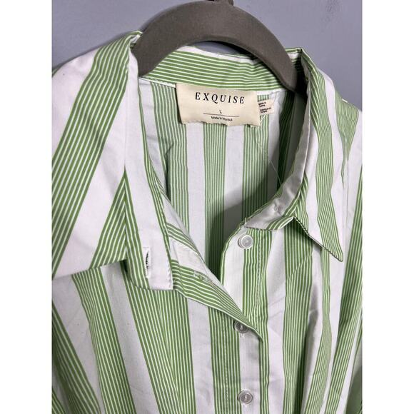 Anthropologie The Tobie Mini Shirt Dress by Exquise Large Green Stripe - Picture 7 of 8